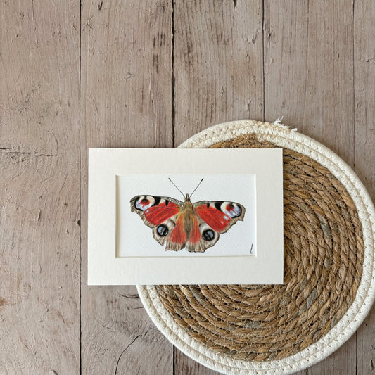 Print | Butterfly