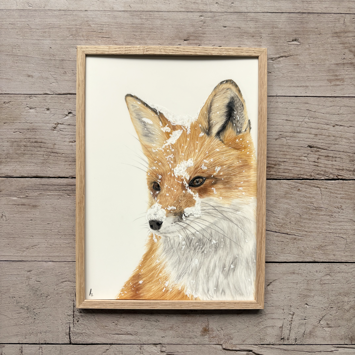 Originele tekening | Vos in de sneeuw