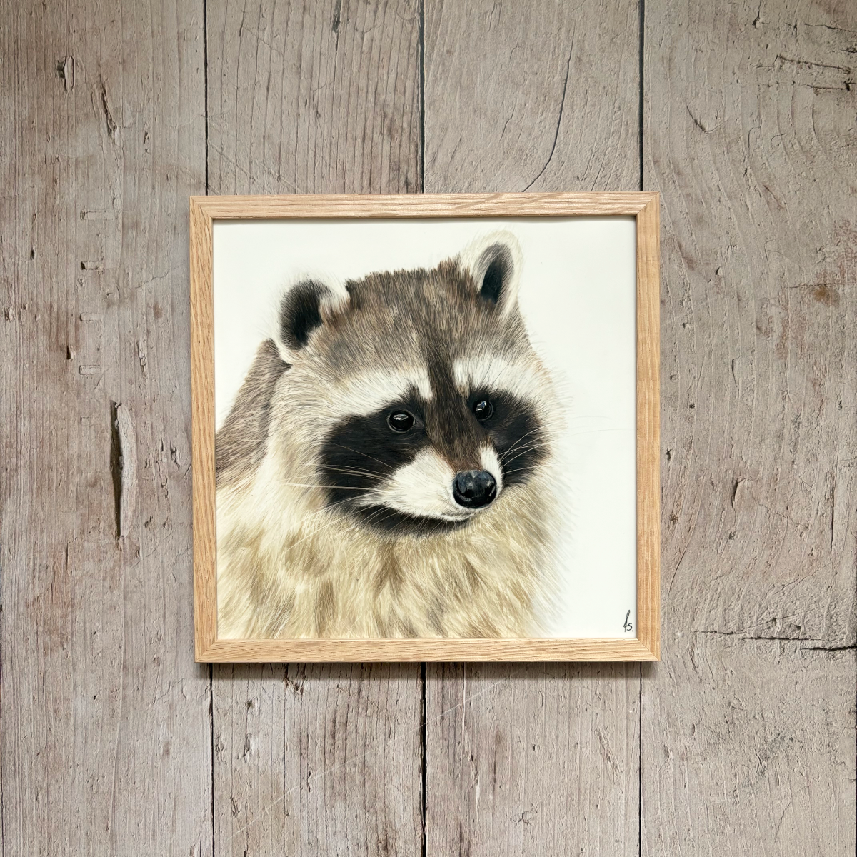 Originele tekening | Wasbeer