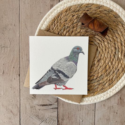 Wholesale | Greeting Card | Pigeon