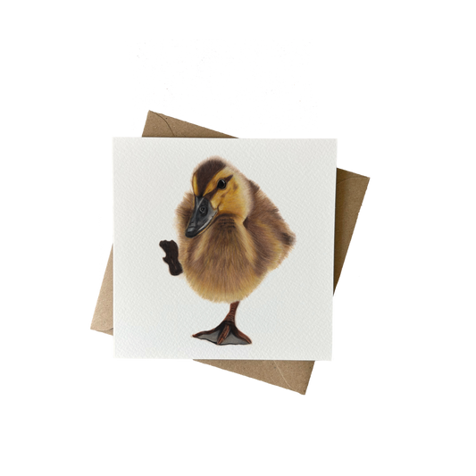 Wenskaart | Eendje