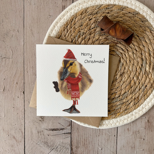 Wholesale | Kerstkaart | Eendje