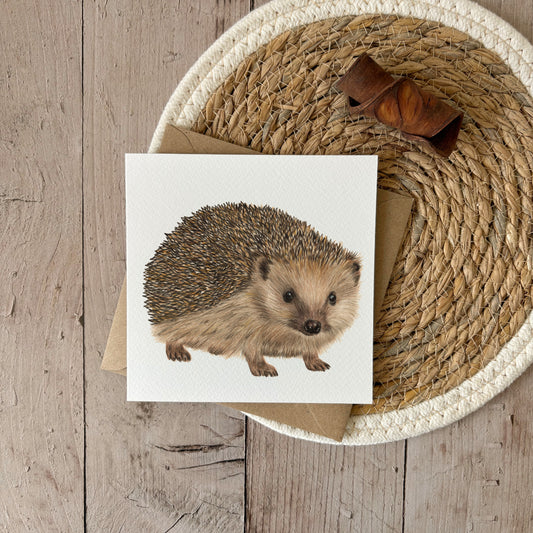 Wholesale | Greeting Card | Hedgehog