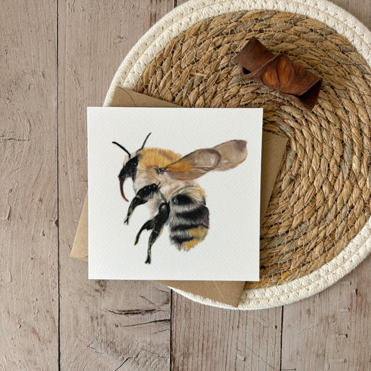 Wenskaart | Hommel