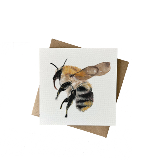 Wholesale | Wenskaart | Hommel