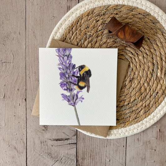 Greeting card | Kingfisher 2.0