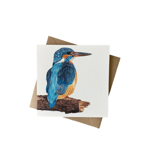 Wholesale | Wenskaart | IJsvogel op hout
