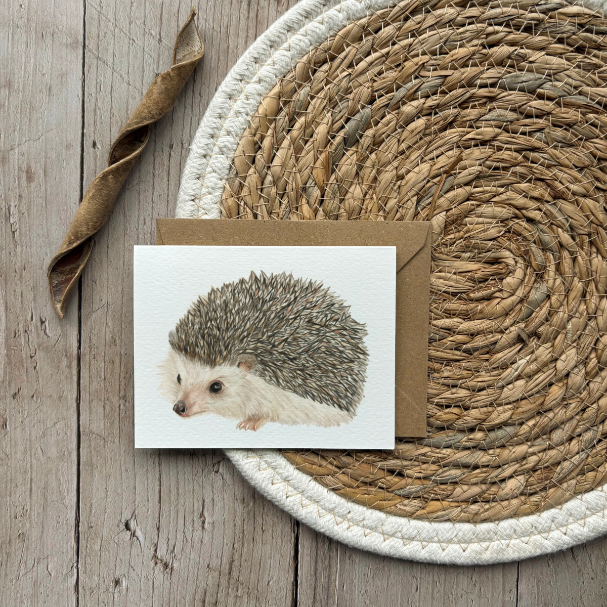 Wenskaart | Egel