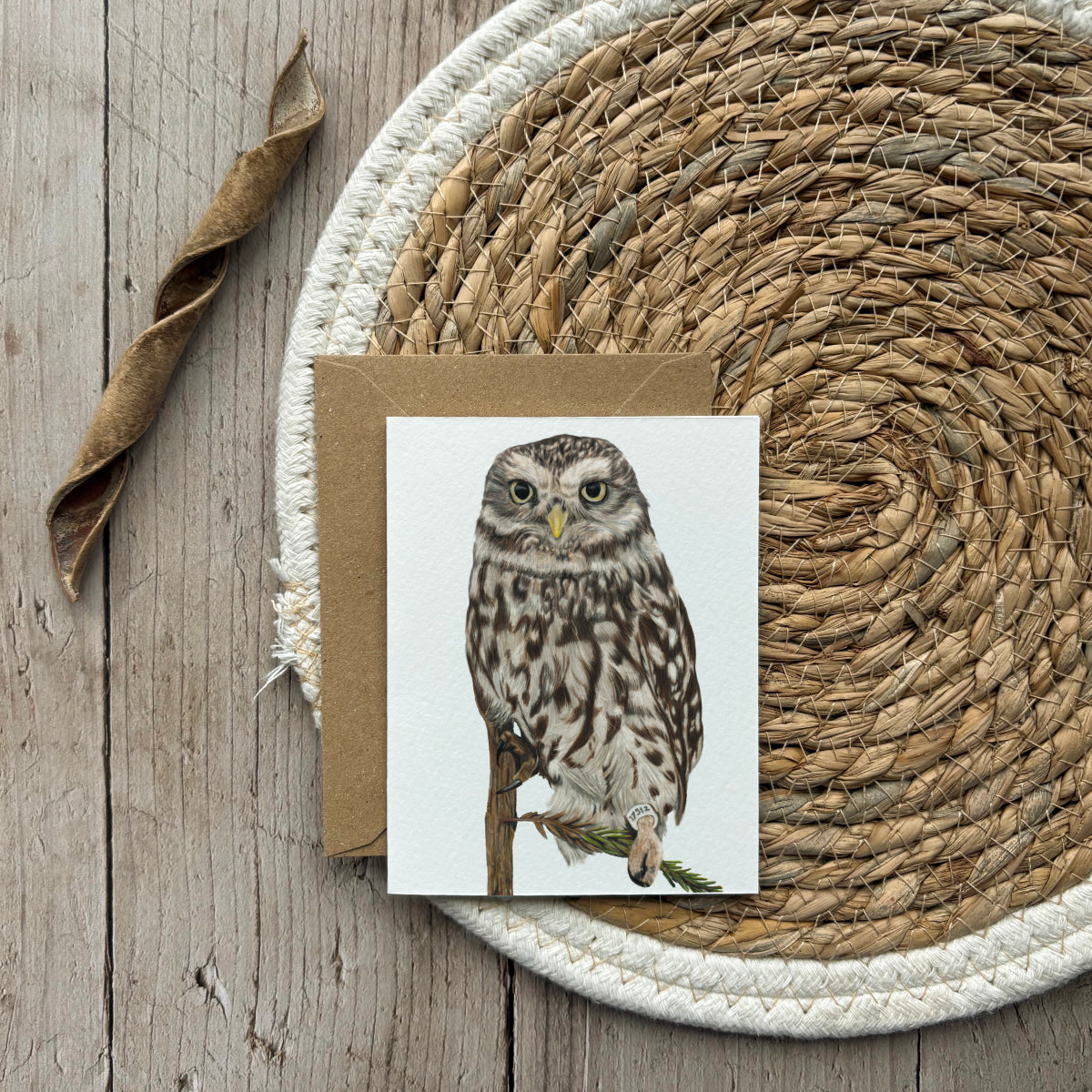 Wenskaart | Uil