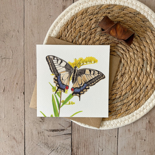 Wholesale | Greeting Card | Swallowtail