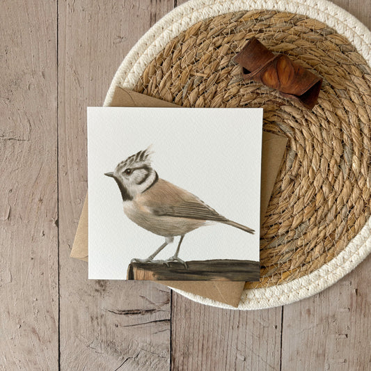 Wholesale | Greeting Card | Crested tit