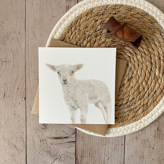 Wholesale | Greeting Card | Lamb