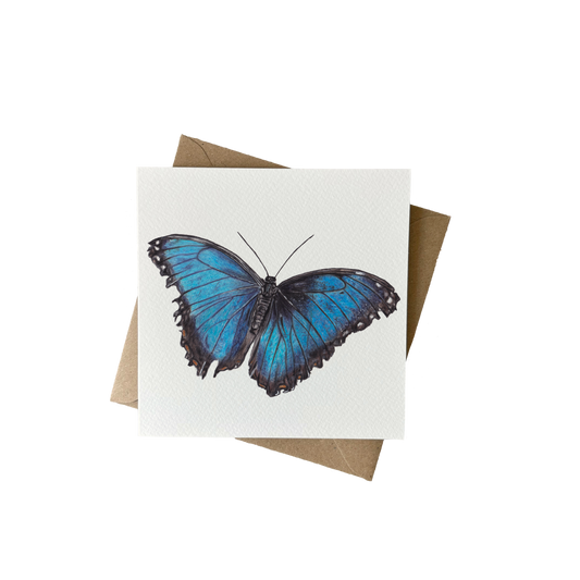 Wenskaart | Morpho