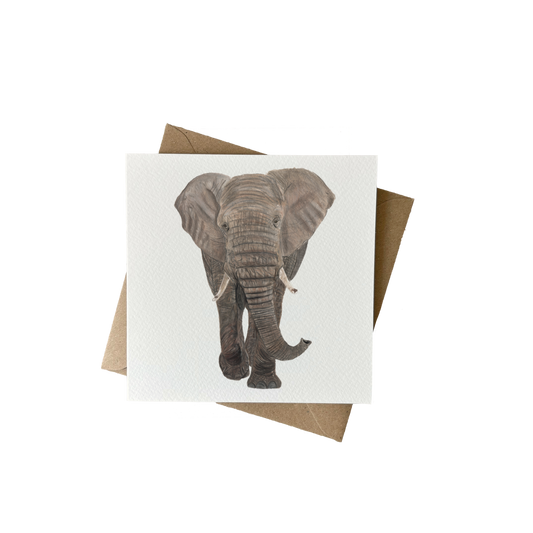 Wenskaart | Olifant