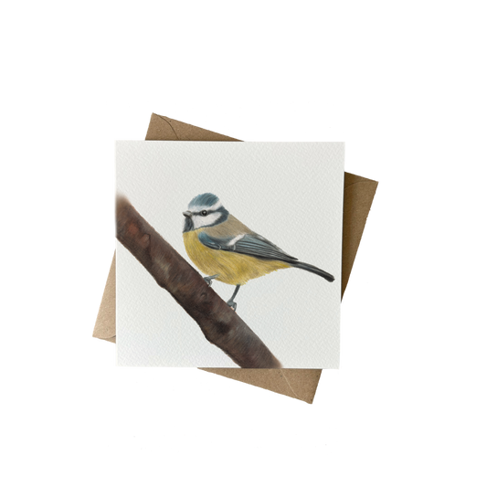 Wenskaart | Pimpelmees