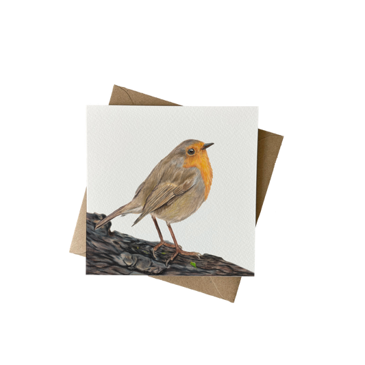 Wenskaart | Roodborstje