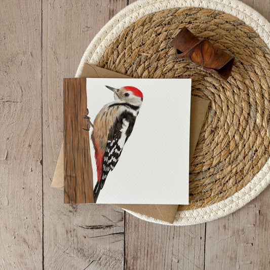Wholesale | Greeting Card | Woodpecker