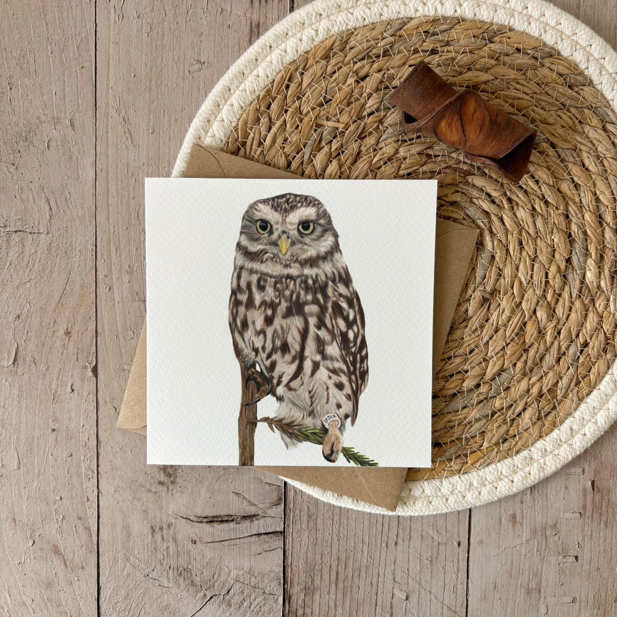 Wenskaart | Steenuil