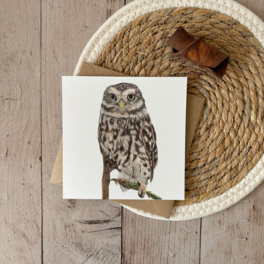 Wenskaart | Steenuil