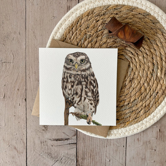 Wholesale | Wenskaart | Uil