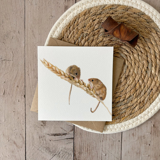 Wholesale | Wenskaart | Veldmuizen