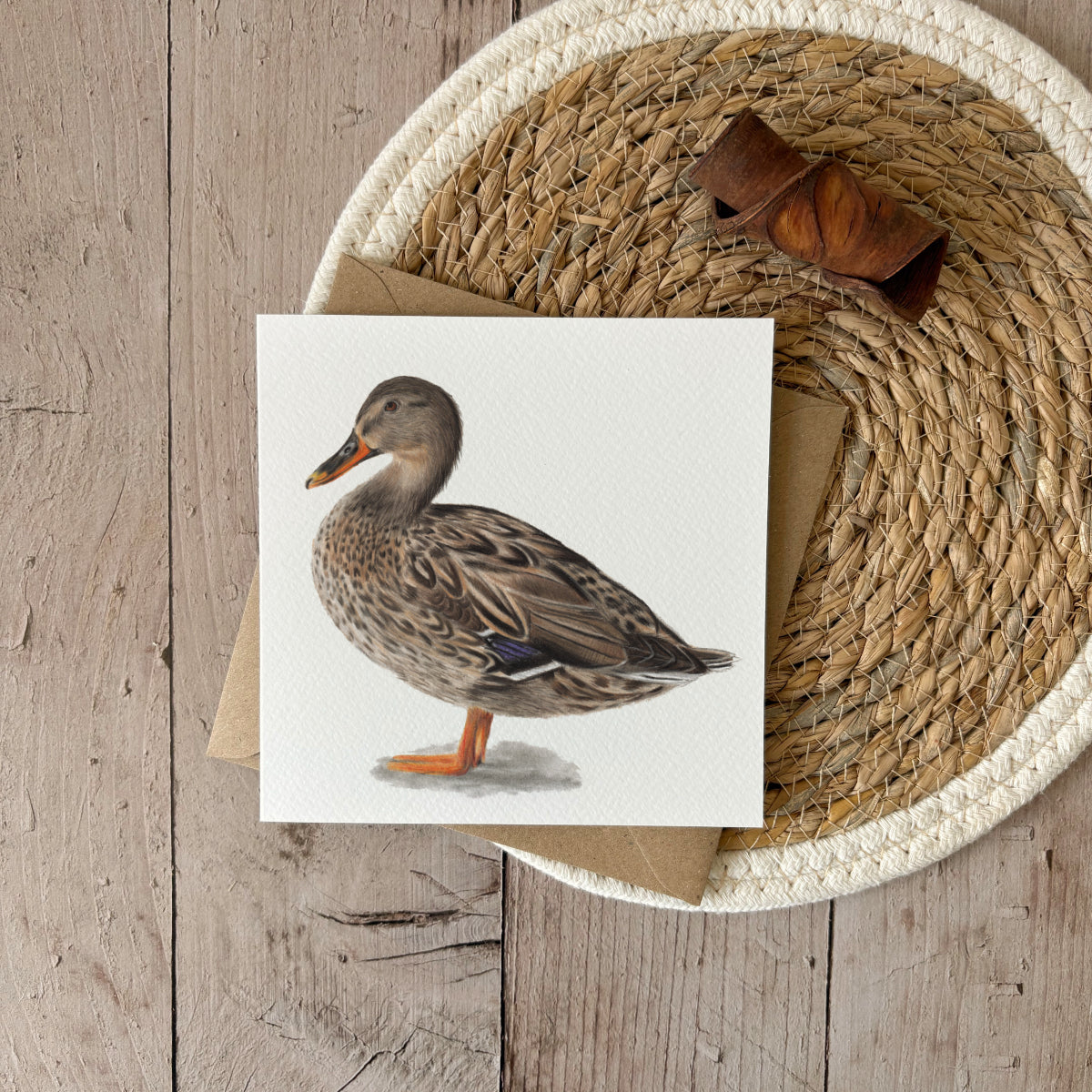Wenskaart | Wilde eend