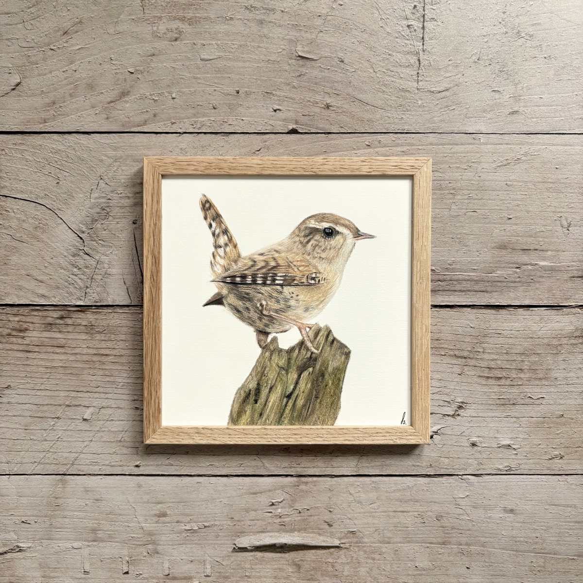 Originele tekening | Winterkoninkje