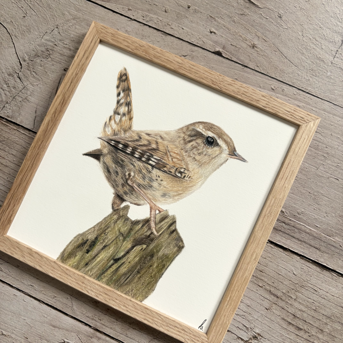 Originele tekening | Winterkoninkje