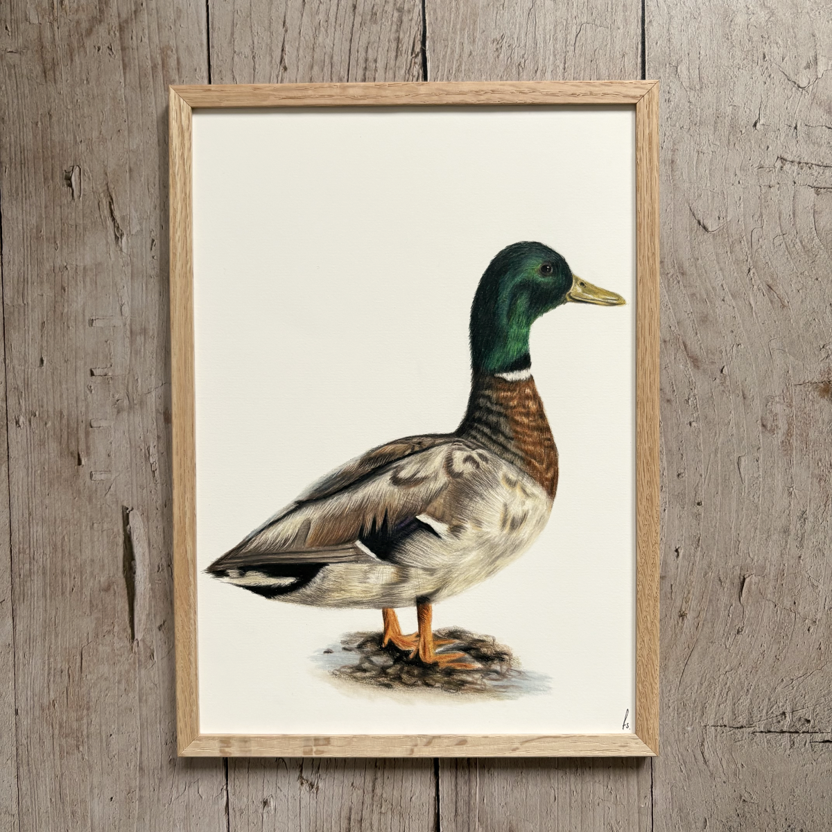 Originele tekening | Woerd