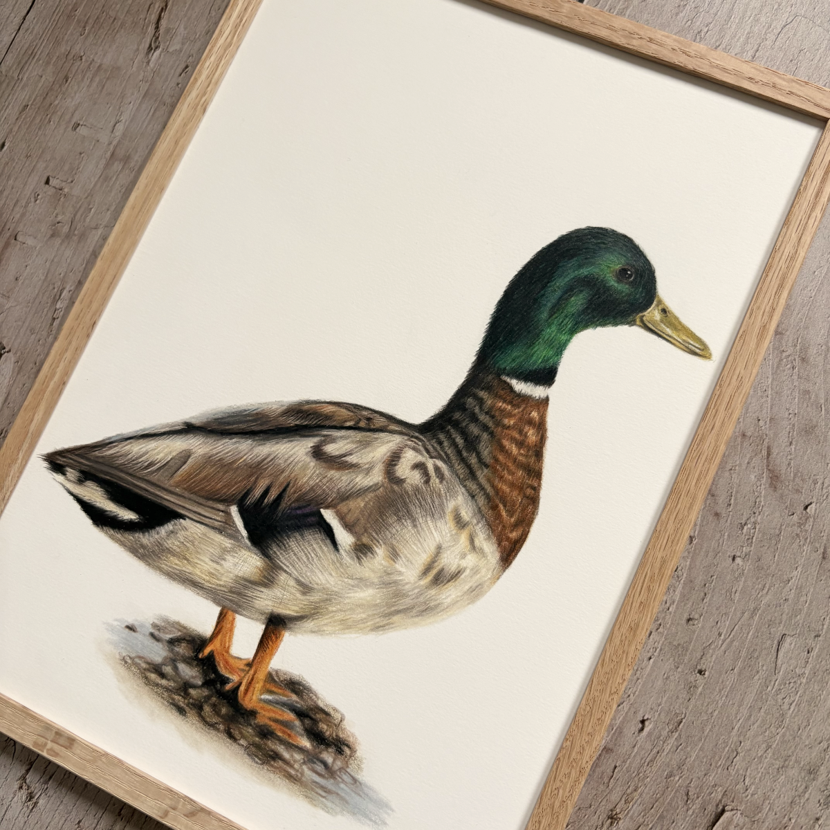 Originele tekening | Woerd