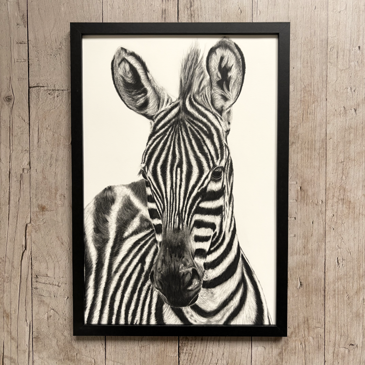 Original drawing | Zebra