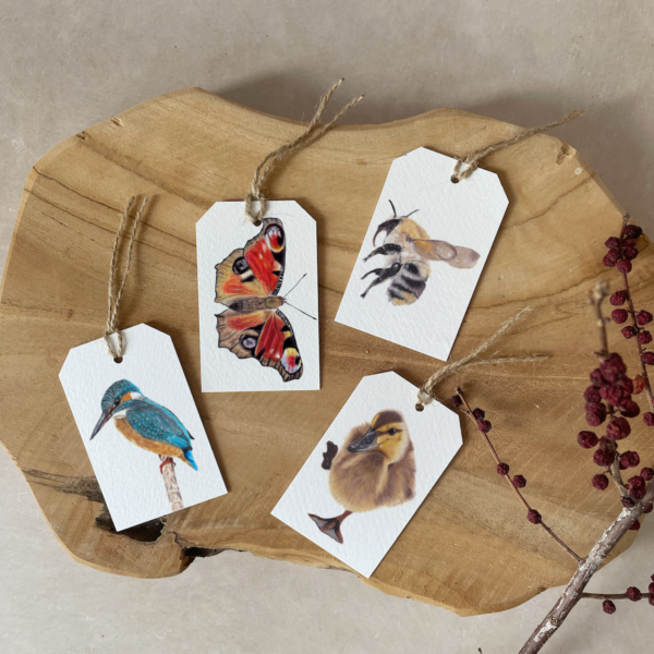 Cadeau labels | Set van 4 | Set ijsvogel