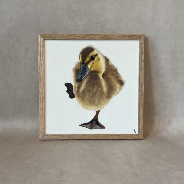 Duckling | Original artwork