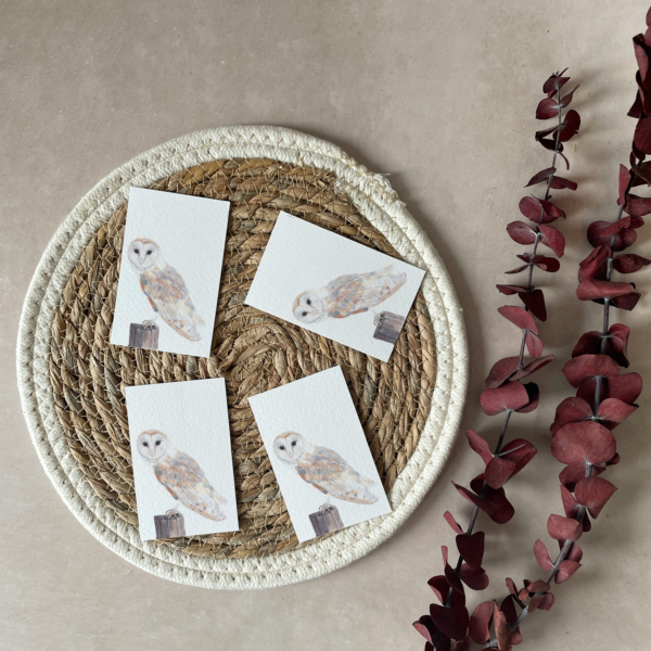 Mini cards | Set of 4 | Barn owl