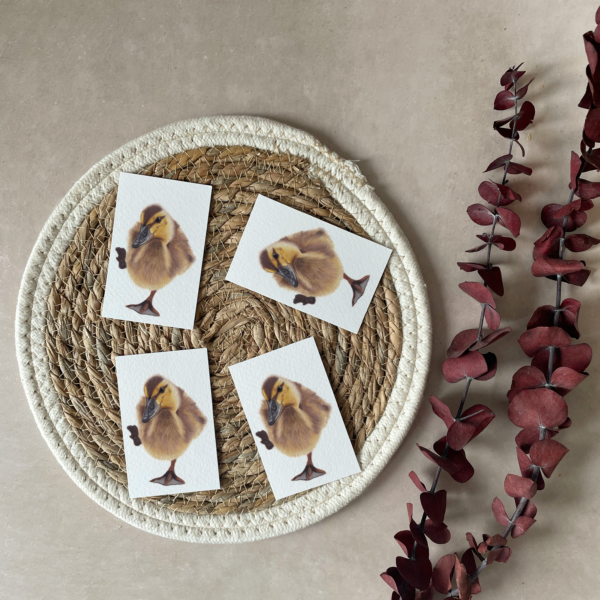 Mini cards | Set of 4 | Duckling