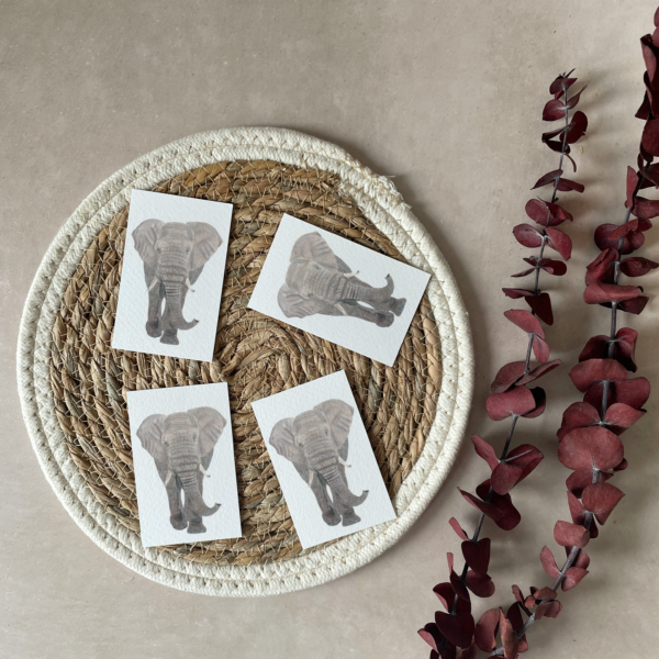 Mini cards | Set of 4 | Elephant