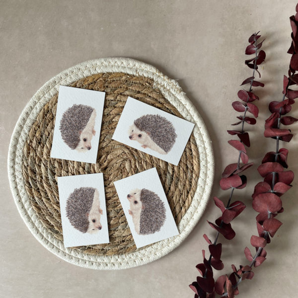 Mini cards | Set of 4 | Hedgehog