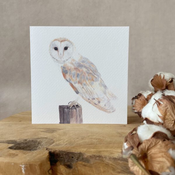 Greeting card | Barn owl