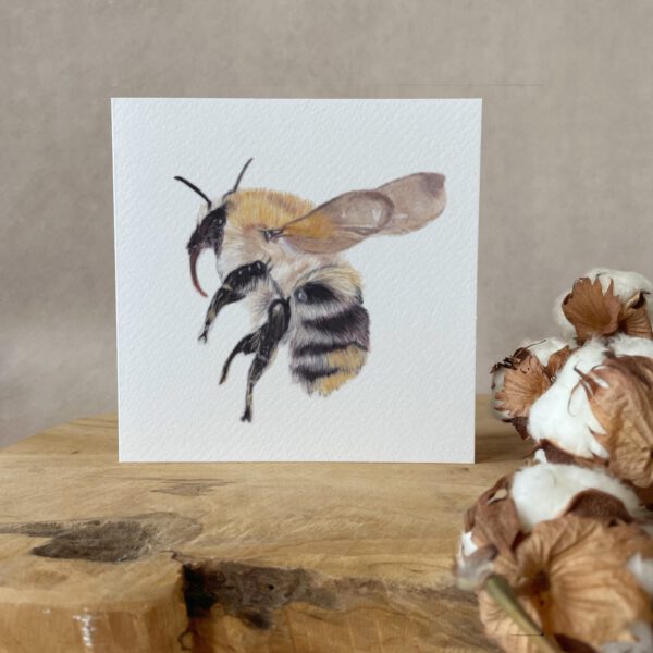 Greeting card | Bumblebee