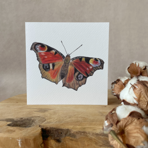 Greeting card | Butterfly