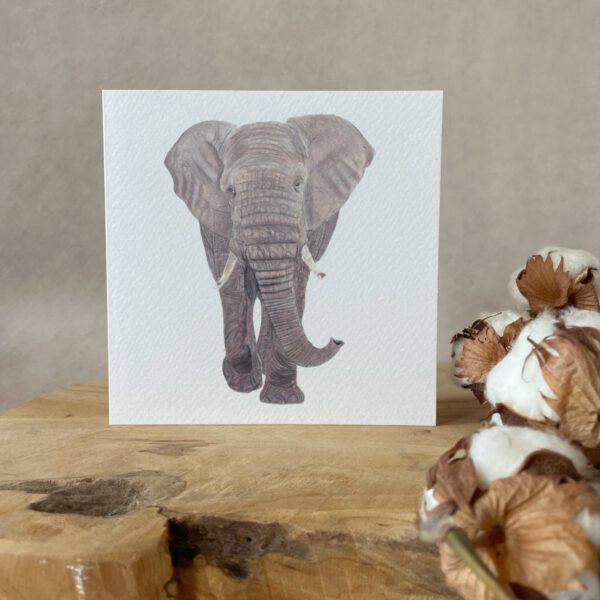 Greeting card | Elephant