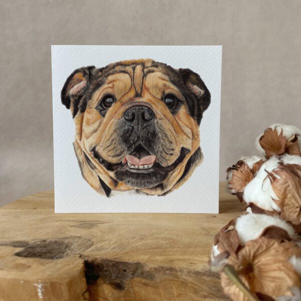 Wenskaart | Engelse bulldog