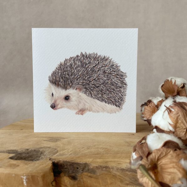 Greeting card | Hedgehog