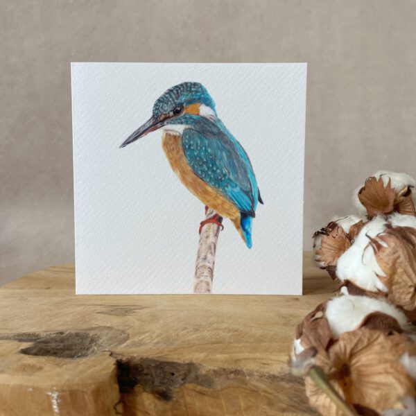 Greeting card | Kingfisher