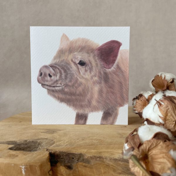 Greeting card | Pig