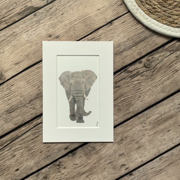 Mini print | A5 | Olifant