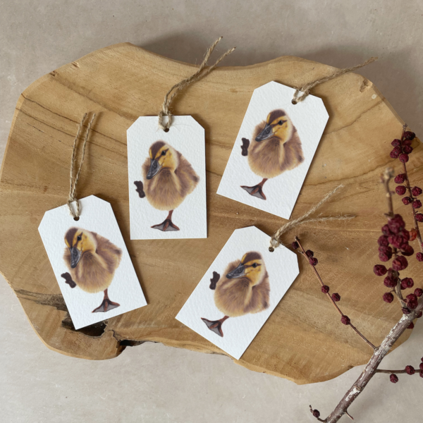 Gift tags | Set of 4 | Duckling