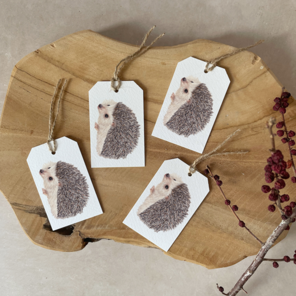 Gift tags | Set of 4 | Hedgehog