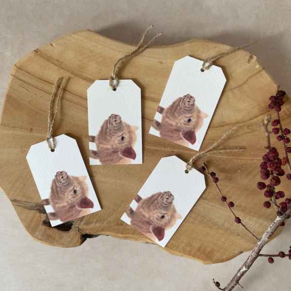 Gift tags | Set of 4 | Pig