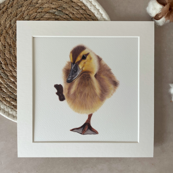 Print | 25x25 cm | Duckling